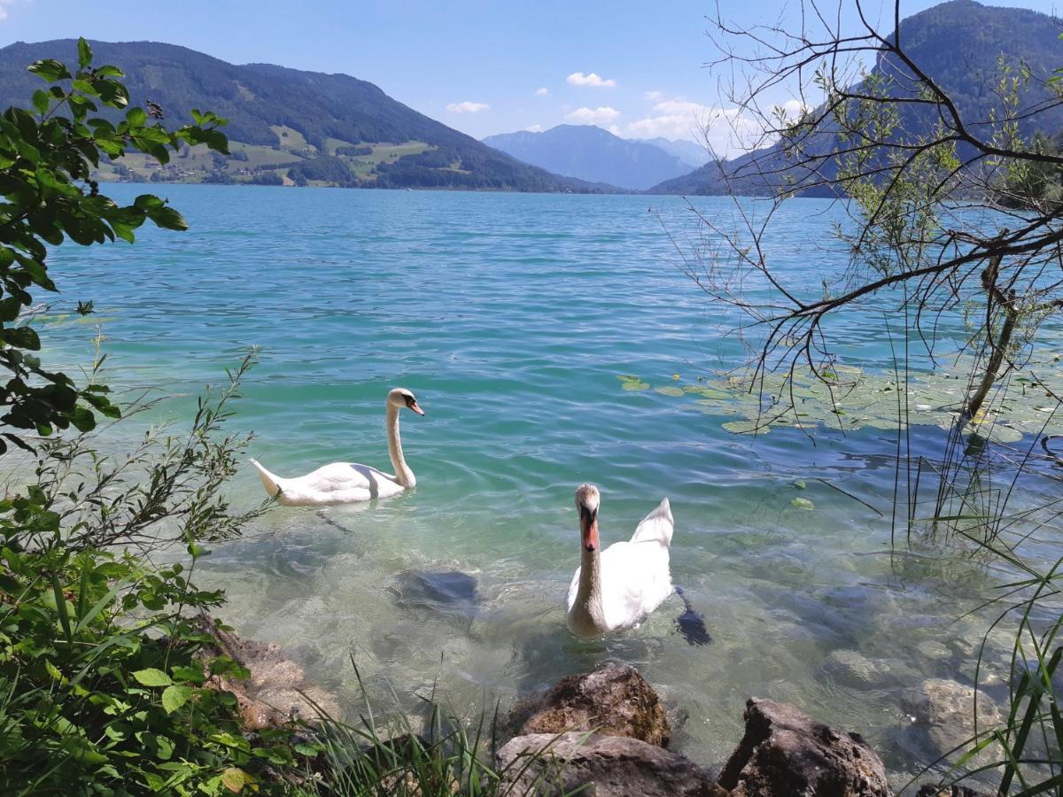 Apartment Am Wolfgangsee Strobl Eksteriør bilde